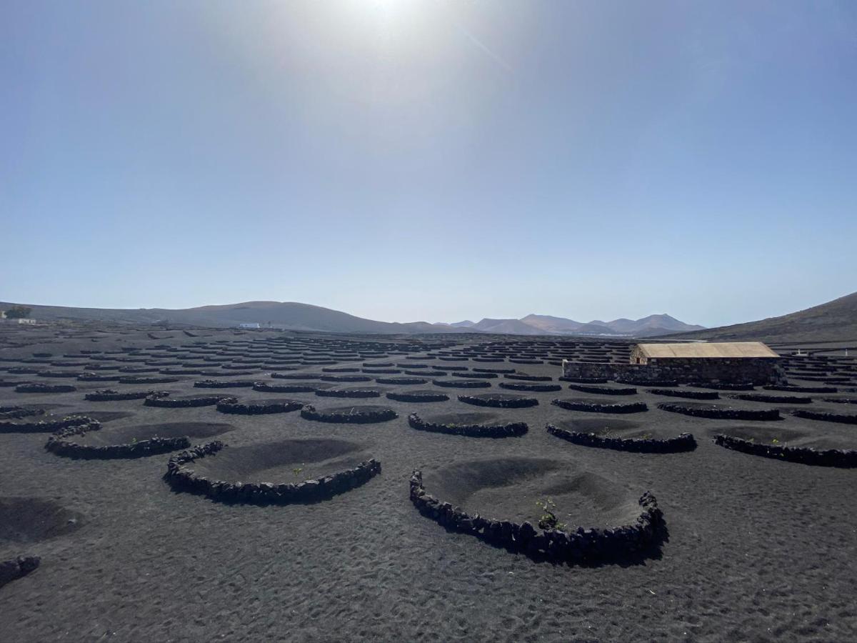 Izaro Apartamento Atico De Lujo Cerca De Playa Dorada Playa Blanca  Exteriör bild