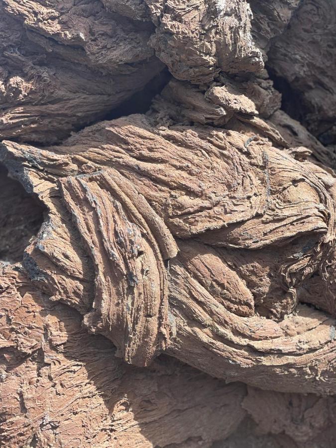Izaro Apartamento Atico De Lujo Cerca De Playa Dorada Playa Blanca  Exteriör bild