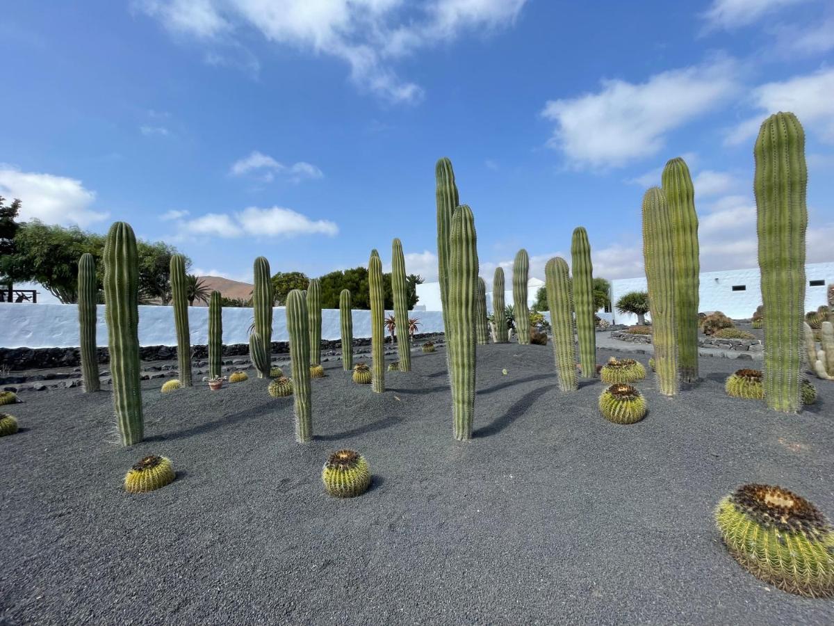 Izaro Apartamento Atico De Lujo Cerca De Playa Dorada Playa Blanca  Exteriör bild